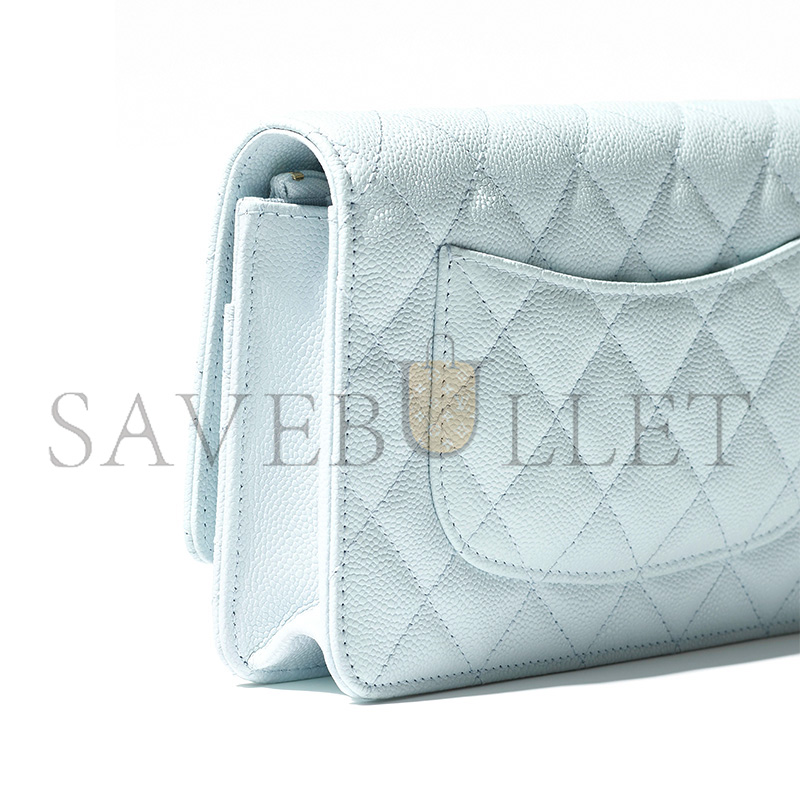 CHANEL CLASSIC WALLET ON CHAIN AP4241 (19.5*12*4cm)
